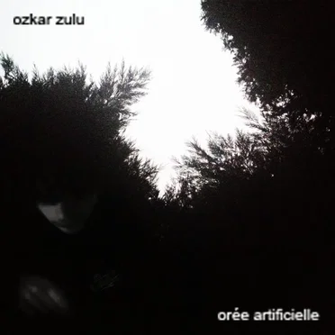 orée artificielle by ozkar zulu - album cover