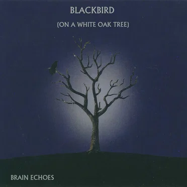 Blackbird (On a White Oak Tree) by Brain Echoes - album cover