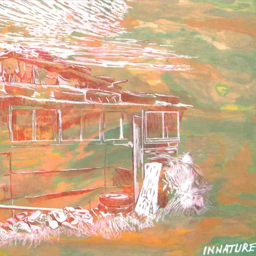 Innature by Various Artists - album cover