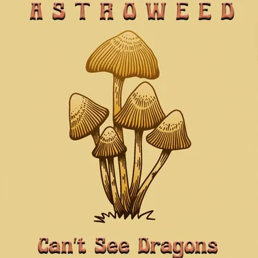 Can’t See Dragons