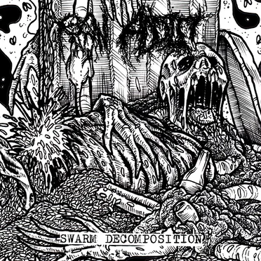 Swarm Decomposition by Raw Addict - album cover
