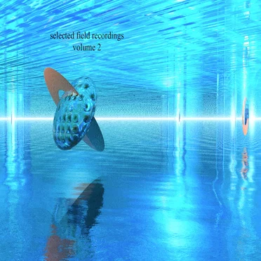 Selected field recordings volume 2 by SYSTEM OF CHAOS - album cover