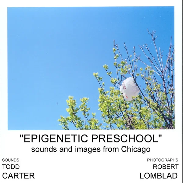 Epigenetic Preschool: Sounds and Images From Chicago