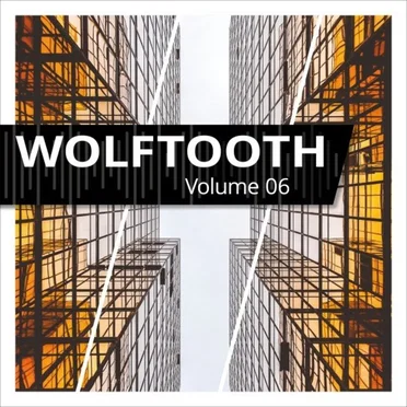 Volume 06 by Wolftooth - album cover