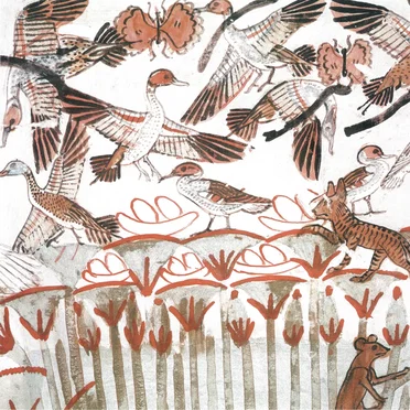 The Growing Surface E.P.