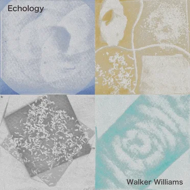 Echology by Walker Williams - album cover