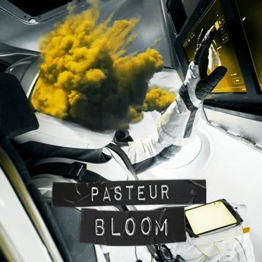 Bloom