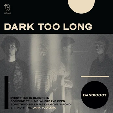 Dark Too Long by Bandicoot - album cover