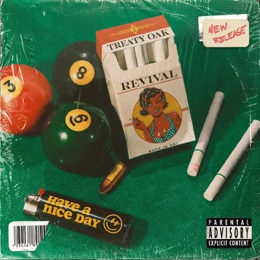 Have a Nice Day by Treaty Oak Revival - album cover