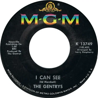 I Can See
