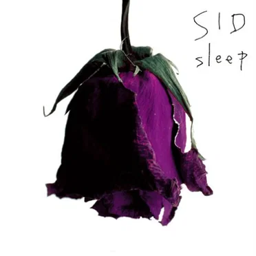 sleep