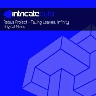 Falling Leaves / Infinity by The Rebus Project - album cover