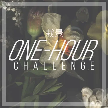 One-Hour Challenge by Various Artists - album cover
