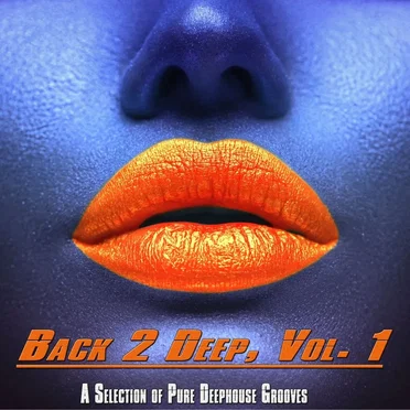 Back 2 Deep, Vol. 1 by Various Artists - album cover