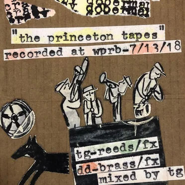 Princeton Tapes