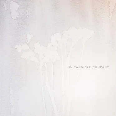 In Tangible Company by No Stranger - album cover