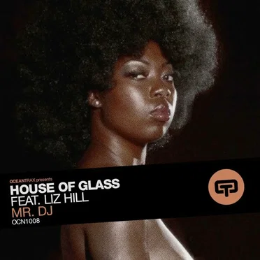 Mr. DJ by House of Glass - album cover