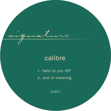 Falls to You VIP / End of Meaning