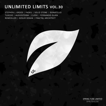 Unlimited Limits, Vol. 30 by Various Artists - album cover