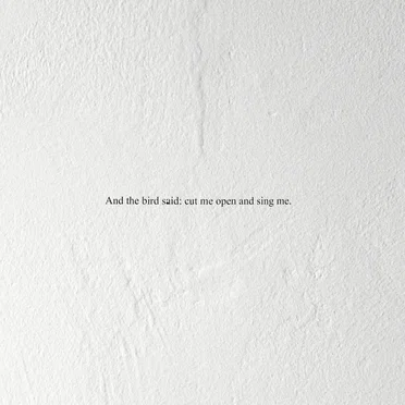 And the Bird Said: Cut Me Open and Sing Me