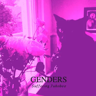 Suffering Jukebox by Genders - album cover