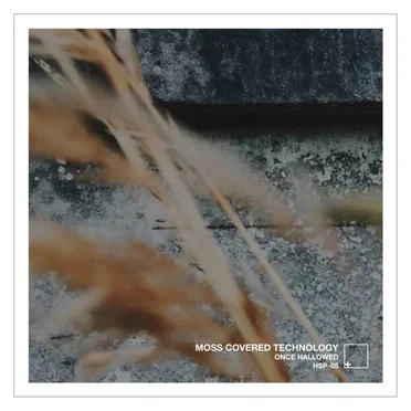 Once Hallowed by Moss Covered Technology - album cover