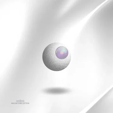 Magnetoreception