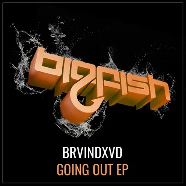 Going Out EP by BRVINDXVD - album cover