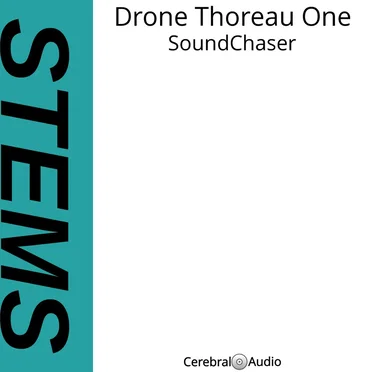 Drone Thoreau One STEMS by SoundChaser - album cover
