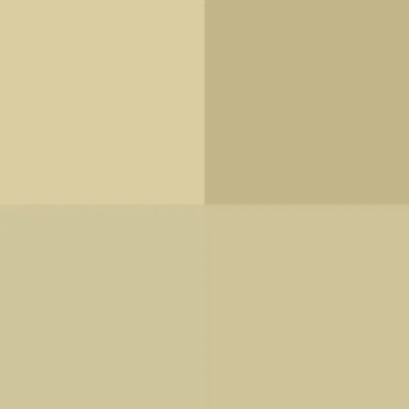 #!/for/what