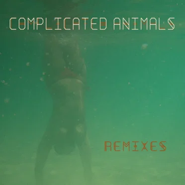 In This Game: Remixes by Complicated Animals - album cover