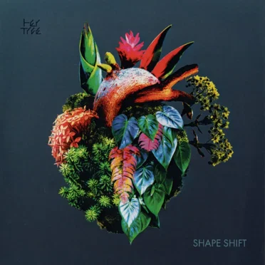 Shape Shift