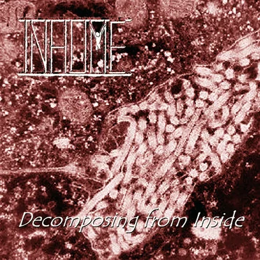 Decomposing From Inside