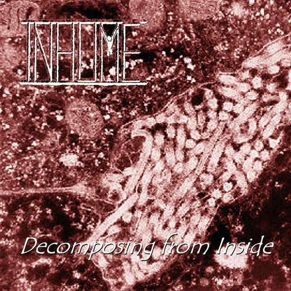 Decomposing From Inside