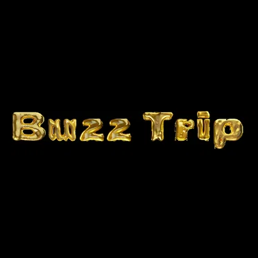 Buzz Trip by OMG - album cover
