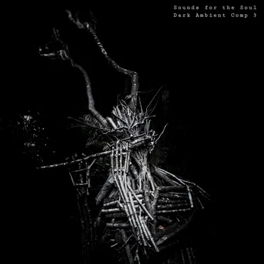 Sounds for the Soul: Dark Ambient Compilation 3 by Various Artists - album cover