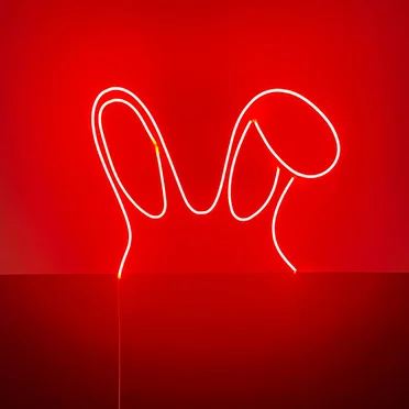 Ears Bunny by Maddie Ross - album cover