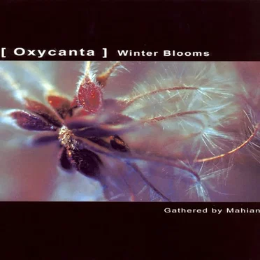 Oxycanta: Winter Blooms by Various Artists - album cover