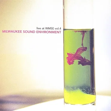 Live At WMSE Volume 4: Milwaukee Sound Environment by Various Artists - album cover