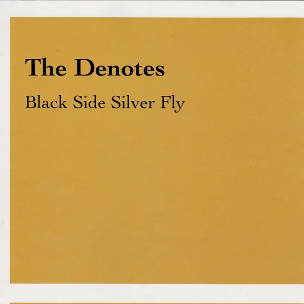 Black Side Silver Fly
