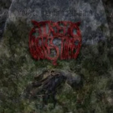 Voices Beyond the Grave by Atretic Intestine - album cover