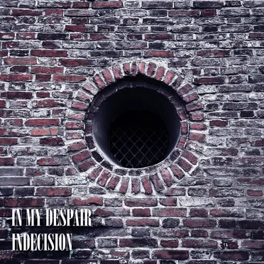 Indecision by In My Despair - album cover