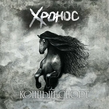 Конный спорт