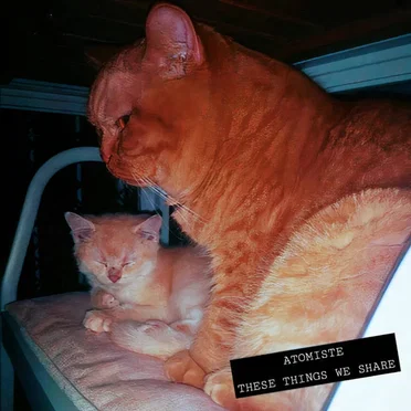 These Things We Share by Atomiste - album cover