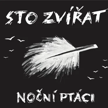 Noční ptáci