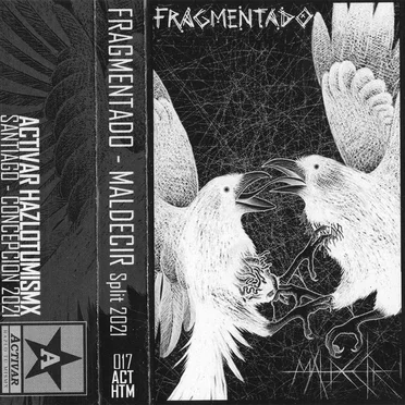 Split by Fragmentado - album cover