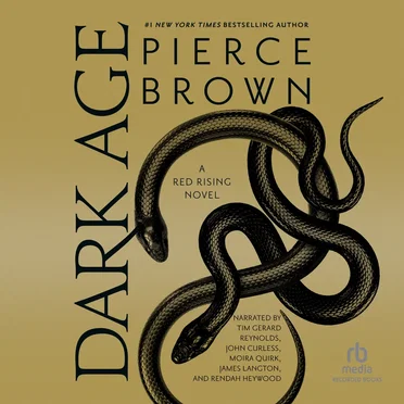 Dark Age: A Red Rising Novel by Pierce Brown - album cover