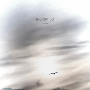 Ingravido