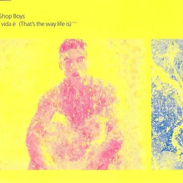 Se a vida é (That’s the Way Life Is)