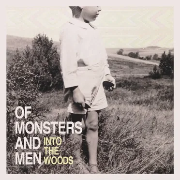 Into the Woods by Of Monsters and Men - album cover